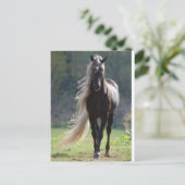 Cheval Briefkaart (Staand voorkant)