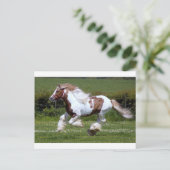 Cheval Briefkaart (Staand voorkant)