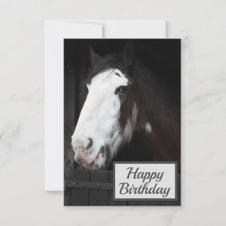 Cheval Brown à la ferme Bonne carte d'anniversaire