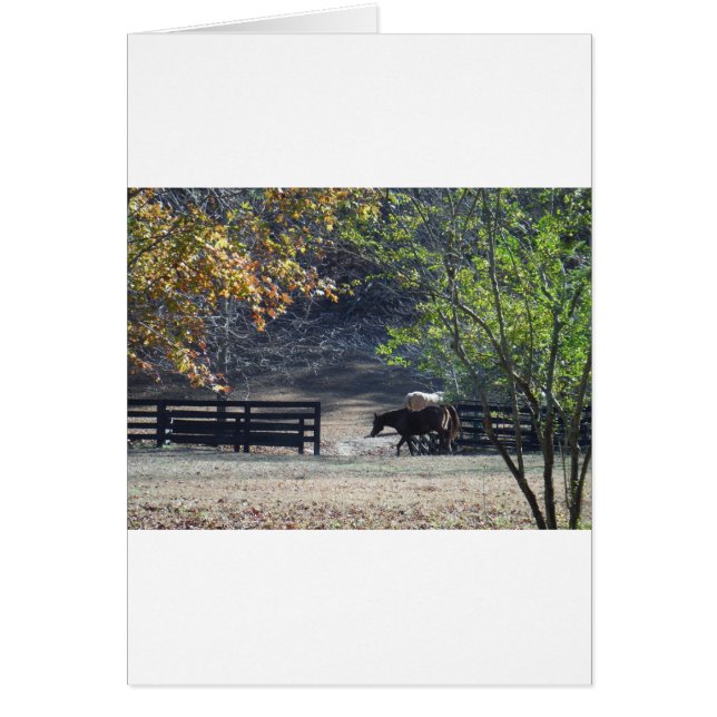 Cheval Brown à pied à travers la clôture (Devant)