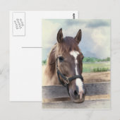 Cheval Brown avec carte postale Bridle (Devant / Derrière)