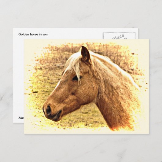 Cheval Brown d'or en carte postale d'animal solair (Devant / Derrière)