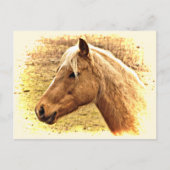 Cheval Brown d'or en carte postale d'animal solair (Devant)