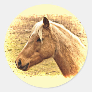 Cheval Brown d'or en Stickers Animal Soleil