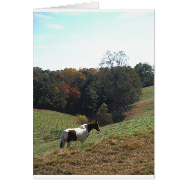 Cheval Brown et blanc à l'étang d'automne (Devant)