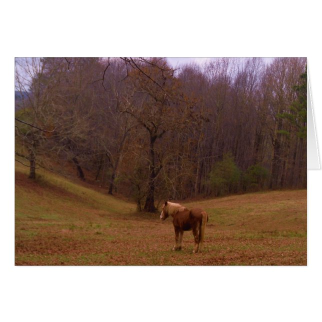 Cheval Brown et blond dans un champ (Devant horizontal)