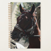 Cheval Brown Stylisé Smiling Head Sketch (Devant)