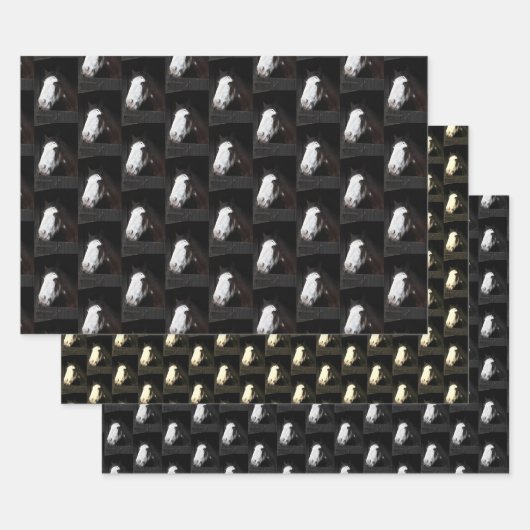 Cheval Brown sur papier d'emballage agricole 3 feu (Lot)