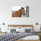 Cheval Brun, Toile de Fond Noir et Blanc (Insitu(Chambre))