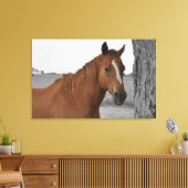 Cheval Brun, Toile de Fond Noir et Blanc (Insitu(Salon))