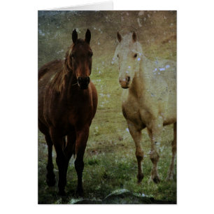 Cheval Buddies Grunge