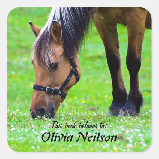 Cheval "Ce livre appartient à ..." Autocollant (Devant)