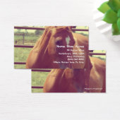 Cheval Chaussure Acres Soft Focus Sorrel (Bureau)