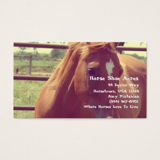 Cheval Chaussure Acres Soft Focus Sorrel (Devant)