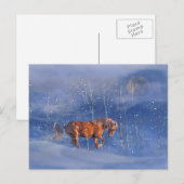 Cheval courant de carte postale de vacances de (Devant / Derrière)