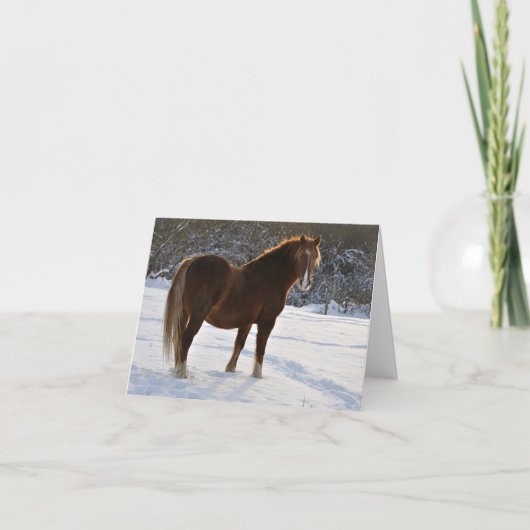 Cheval dans la carte de Noël de neige (Devant)