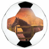 Cheval dans le boule de football de pâturage (Devant)