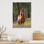 cheval dans les bois imprimé poster DE 8.99 (Cuisine)