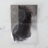 Cheval Dark Snow - Carte de vœux pour cheval (Intérieur)