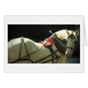 Cheval de chariot