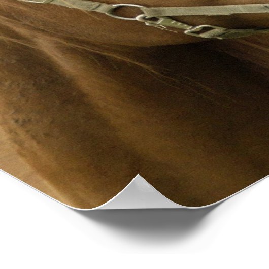 Cheval de châtaignes dans une affiche de campagne (Coin)