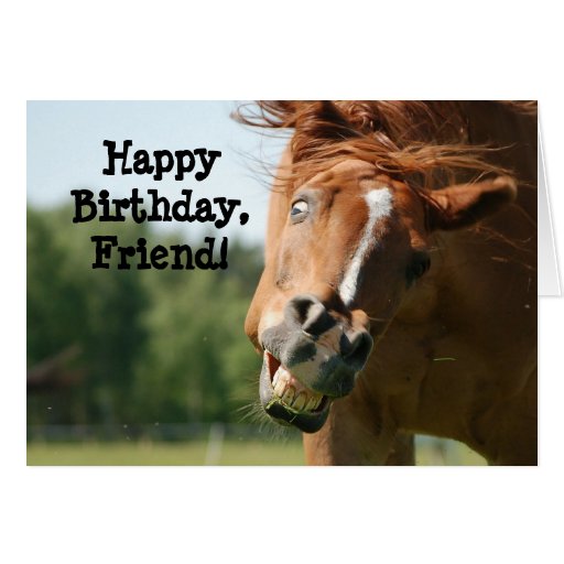 Les Chevaux Carte Bon Anniversaire Chevaux Jument Et Poulain Poneys Avec Enveloppe 12x17 5cm Passion Cheval Carte Anniversaire Cheval