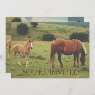 Cheval de jument et de poulain Invitation Baby sho