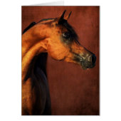 Cheval de la baie Arabe (Devant)