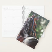 Cheval de la baie Thoroughbred Dressage de sang ch (Devant avec enveloppe)