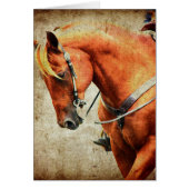 Cheval de l'Ouest (Devant)