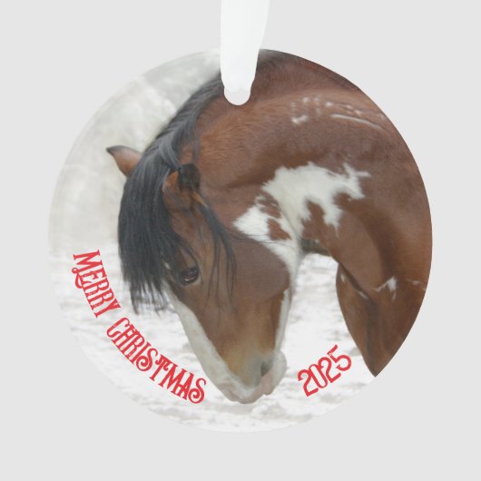 Cheval de neige - Acrylique de Noël (devant)
