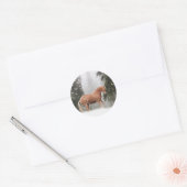 Cheval de Noël et Stickers de neige (Enveloppe)