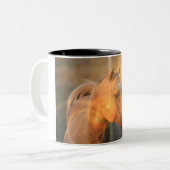 Cheval de palomino dans la tasse de café légère (Devant gauche)