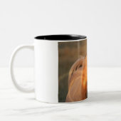 Cheval de palomino dans la tasse de café légère (Gauche)