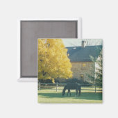 Cheval de pays - aimant (Recto/Verso)