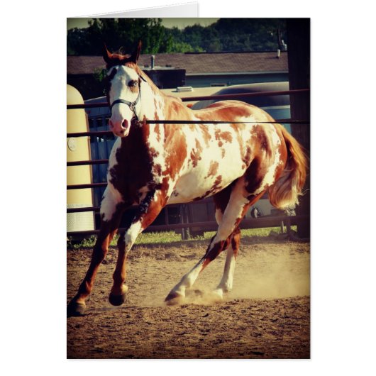 Cheval de peinture (Devant)