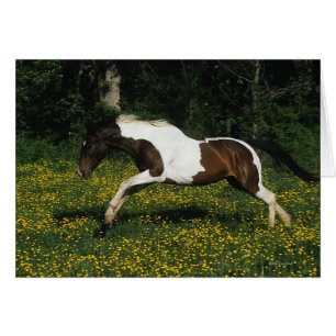 Cheval de peinture courant dans le champ de fleurs