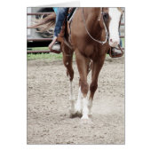 Cheval de peinture de l'Ouest (Devant)