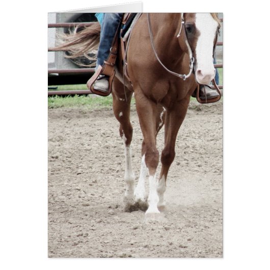 Cheval de peinture de l'Ouest (Devant)