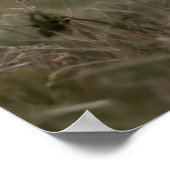 Cheval de poster courant (Coin)