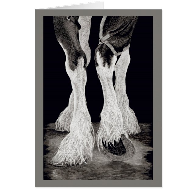 Cheval de trait de Shire "de plumes fraîches" - (Devant)