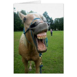 Cheval de Yawning