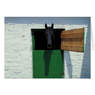 Cheval déposé avec porte française