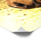 Cheval d'or et Brown au soleil Photo d'animal Impr (Coin)