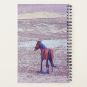 Cheval du désert P8640 (Dos)