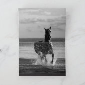 Cheval du lever du soleil dans la carte de voeux d (Intérieur)