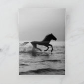 Cheval du lever du soleil dans la carte de voeux d (Intérieur)