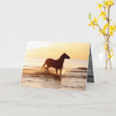 Cheval du lever du soleil dans la carte de voeux d (Fleur jaune)