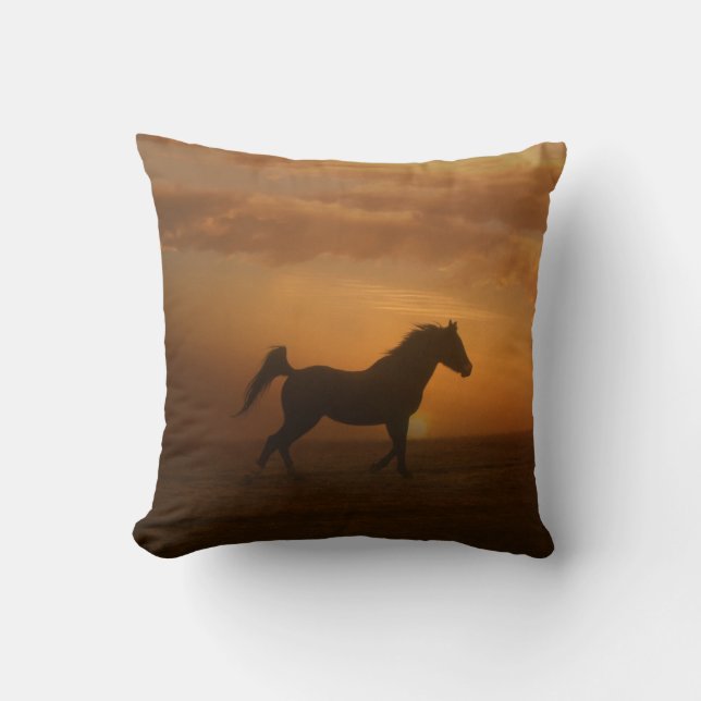 Cheval du Sud-Ouest dans le Coussin du coucher du  (Recto)