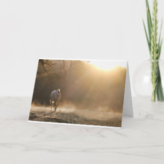 Cheval en carte de sympathie légère équine